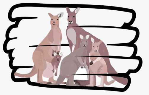 Transparent Kangaroo Clip Art - Kangaroo, HD Png Download, Free Download
