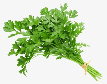 Salsa Un - Bunch Of Parsley, HD Png Download, Free Download