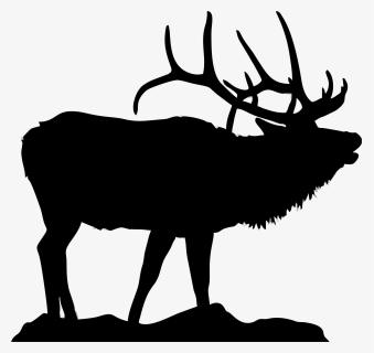 Cow Elk Png - Bighorn Sheep Head Silhouette, Transparent Png, Free Download