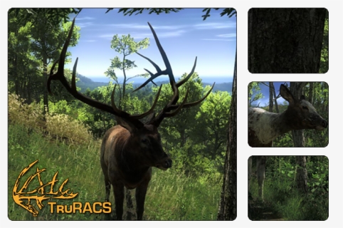 Thehunter Wikia - Roosevelt Elk The Hunter Classic, HD Png Download, Free Download