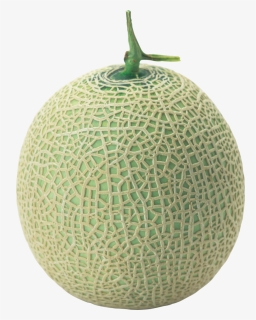 Melon Png Image - Transparent Png Melon Png, Png Download, Free Download