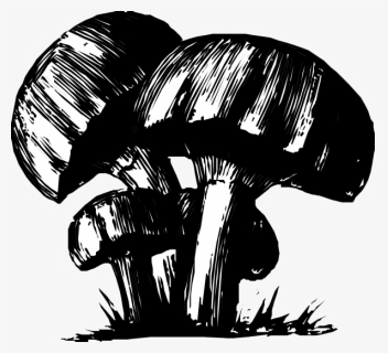 Drawing Trippy Mushroom , Png Download - Mushrooms Drawing, Transparent Png, Free Download