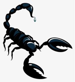 Scorpion Astrological Sign Horoscope Astrology - Se Escreve Escorpião Em Chines, HD Png Download, Free Download