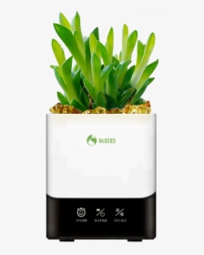 Home Decor Smart Pot With Bluetooth Speaker Music Flower - Plant Alarm Clock, HD Png Download, Free Download