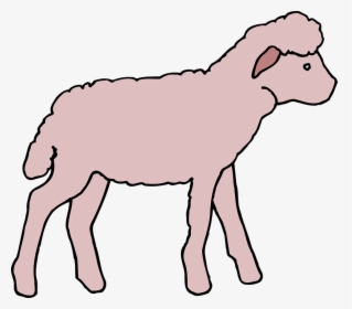Pink, Lamb, Animal, Fluffy - Pink Lamb Clip Art, HD Png Download, Free Download