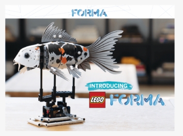Lego Forma, HD Png Download, Free Download