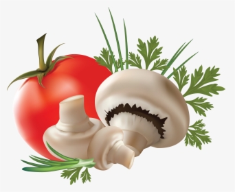 Mushroom Png Image - Transparent Background Fruit And Vegetable Png, Png Download, Free Download