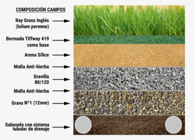 Césped Natural - Natural Grass Sub Base, HD Png Download, Free Download