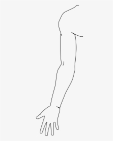 Clipart Human Arm - Line Art, HD Png Download, Free Download