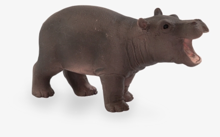 Picclick Safari Ltd Pygmy Hippo, HD Png Download, Free Download