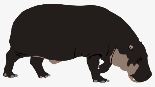 Pygmy Hippopotamus By Michell - Hippopotamus, HD Png Download, Free Download