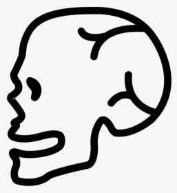 Human Skull Side View - Side Skull Icon Png, Transparent Png, Free Download