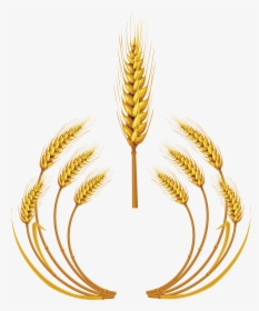 Wheat Logo Png Image - Wheat Png, Transparent Png, Free Download