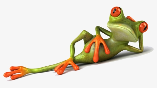 Animation Company In Bangalore - Frog, HD Png Download, Free Download