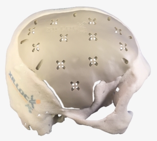 Side Pmma - Skull, HD Png Download, Free Download