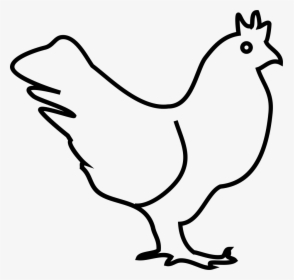 Chicken Line Drawing Png , Png Download - Transparent Chicken Line Art, Png Download, Free Download