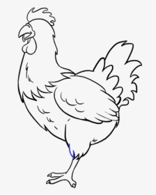 How To Draw Chicken - Chicken Drawing Easy, HD Png Download, Free Download