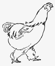 Big Image Png - Chicken Drawing Png, Transparent Png, Free Download