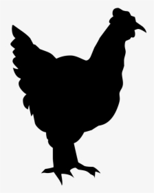 Silhouette, Drawing, Outline, Chicken, Poultry, Nature - Chicken Cartoon Outline, HD Png Download, Free Download
