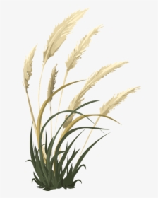Wheat Grass Nature Vector Graphic Pixabay - Transparent Pampas Grass Png, Png Download, Free Download