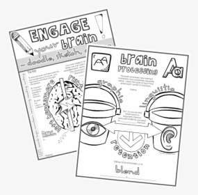Brain Based Teaching With Visual Doodle Notes - Illustration, HD Png Download, Free Download