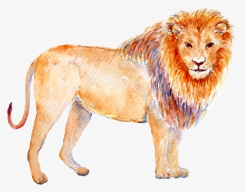 Transparent Leo Png - Astrology Zodiac Signs Animal, Png Download, Free Download