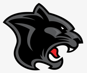 Black Panther Leopard Cougar - Douglas High School Rochester Ny, HD Png Download, Free Download