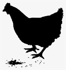 Rooster Silhouette Vector Graphics Chicken As Food - Silueta Pollo, HD Png Download, Free Download
