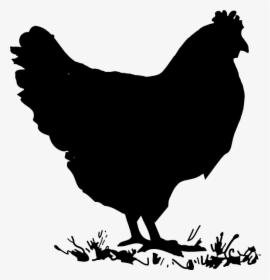 Simpsonhen Clip Art At - Hen Chicken Silhouette, HD Png Download, Free Download