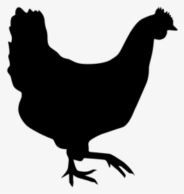 Rooster Chicken Silhouette Hen Drawing - Transparent Chicken Silhouette Png, Png Download, Free Download