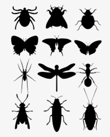 Moscas, Mosquitos E Baratas - Insects Silhouette, HD Png Download, Free Download