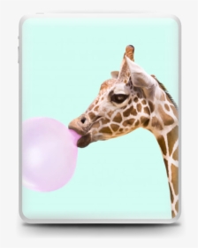 Giraffe With A Chewing Gum Skin Ipad - Fondo De Pantalla Animals, HD Png Download, Free Download