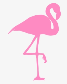 Flamingo, Bird, Silhouette, Pink, Nature, Wildlife, - Cartoon Pink Flamingos, HD Png Download, Free Download