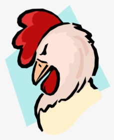 Vector Illustration Of Cartoon Rooster Cockerel Bird - Rooster Head, HD Png Download, Free Download
