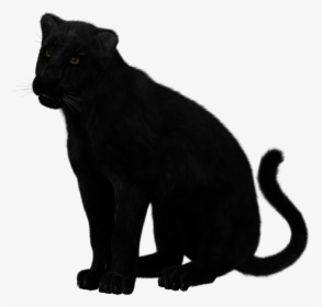 Black Panther Sitting - Transparent Black Panther Animal, HD Png Download, Free Download
