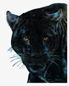 #panther #black #blackpanther - Jaguar, HD Png Download, Free Download