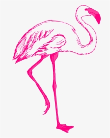 Pink, Bird, Wings, Flamingo, Long, Neck, Legs, Feathers - Clip Art Flamingo Transparent Background, HD Png Download, Free Download