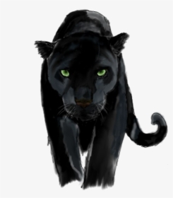 Panther Png Background Image - Transparent Background Panther Transparent, Png Download, Free Download