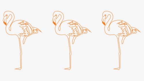 Florida Native Bird - Greater Flamingo, HD Png Download, Free Download