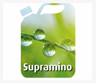Supramino Can - University Of Kent, HD Png Download, Free Download