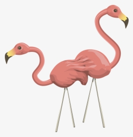 Inhabitants Npc Flamingo Clip Arts - Flamingo Animation, HD Png Download, Free Download