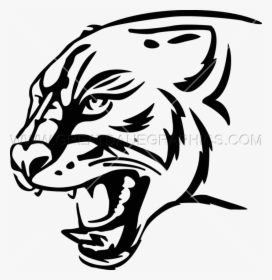 Cougar Clipart , Png Download - Black And White Panther Head Clipart, Transparent Png, Free Download