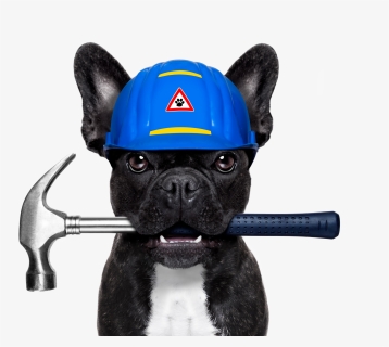 Transparent Dog Emoji Png - Dog Plumber, Png Download - kindpng