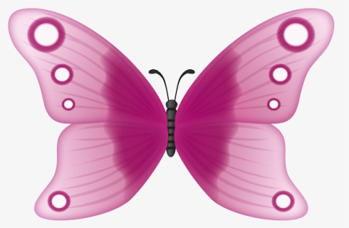 Brush-footed Butterfly, HD Png Download, Free Download