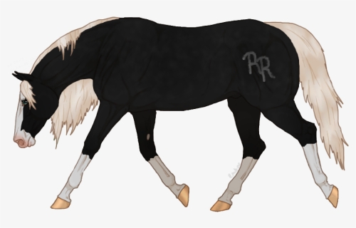 Pharaoh - Stallion, HD Png Download, Free Download
