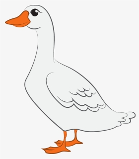 Duck Clipart - Duck, HD Png Download, Free Download