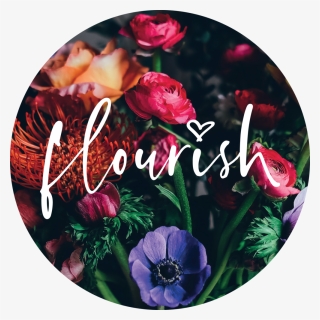 Flourish Flower Circle, HD Png Download, Free Download