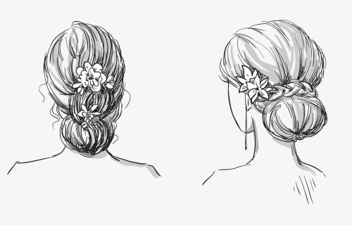 Drawn Braid Face Hair - Bun Hairstyles Drawing, HD Png Download, Free Download