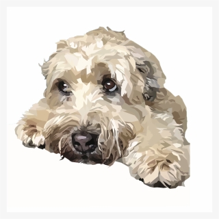 Soft Coated Wheaten Terrier Cartoon, HD Png Download, Free Download