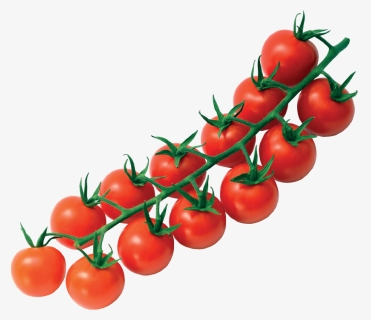 Transparent Background Cherry Tomato Png, Png Download, Free Download